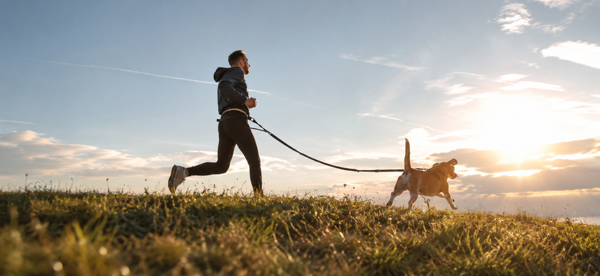 Built for pets. Designed for peace of mind.