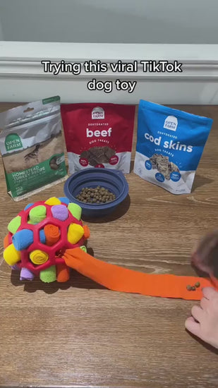 1.mp4