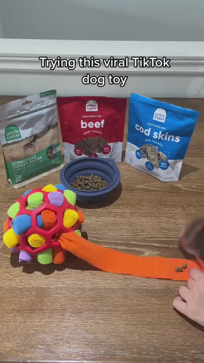 1.mp4